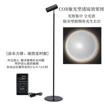 인테리어조화 LED 식물등 집에서할수있는취미 조명등 식물영양 식물 새싹삼 화훼단지 전구 음지식물 식물재배기 다육이키우는법, 풀 스펙트럼 6000k-20와트(2.1m)+타이밍