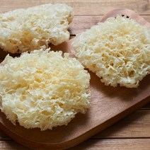 청정지역 건 흰목이 백목이버섯 100g 1kg 은이 특품