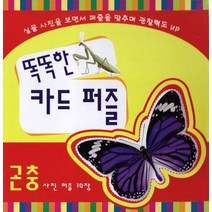 똑똑한 카드 퍼즐(곤충):사진 퍼즐 10장, 똑똑한 카드 퍼즐(곤충), 훈민출판사 편집부(저),훈민출판사, 훈민출판사