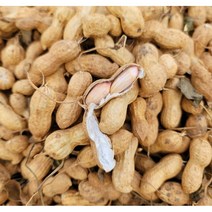 국산 자연건조 생피땅콩 1kg