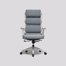 삼공체어 C45 Tri-Flex 편한 학생 공부 책상의자, 화이트프레임&블루
