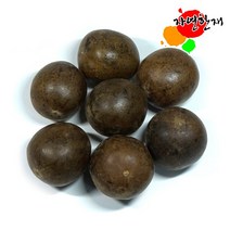 자연한재 나한과 1과, 대, 1개