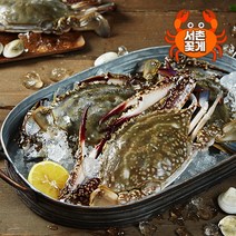 [서촌꽃게] 냉동 암꽃게(알박이) 3kg (10~12미), 상세 설명 참조