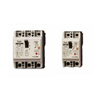 대륙 DBE 102BE 60A/75A/100A MCCB 경제형 배선용차단기, 75A