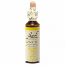FLEURS DE BACH 플레르 드 바흐 용담초 N.12 보충제 20ml, 1개