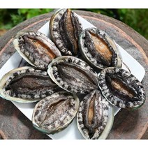(추석 선물세트)명품4호 대전복 선물세트 1.5kg(1kg 12미~13미)+고급선물가방, 명품10호 1kg(8~9미)+선물포장, 특대전복1kg