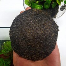 수초버거 베이스 10cm(수초 미포함)와비쿠사베이스/테라리움비바리움