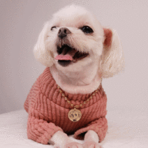 가성비 좋은 강아지목걸이각인 중 알뜰하게 구매할 수 있는 판매량 1위