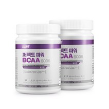칼로바이 퍼펙트 파워 BCAA 6000 헬스 부스터 아미노산+쉐이커증정, 2개입, 300g