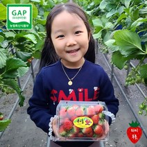 산지직송 설향딸기 반값딸기 못난이딸기 파지 팥쥐딸기 생딸기 한정물량 하동 지리산 한입 방울 ﻿카페 주스용 1kg 2kg 2.4kg, 1kg__500g x 2팩