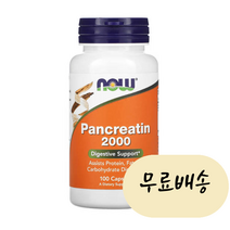 나우푸드 판크레아틴 2000mg 100개입 [미국 직배송], 1개, 100정, 100개