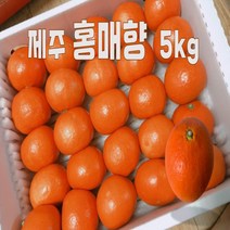 제주감귤 빨간귤 귤한박스 홍매향 5kg