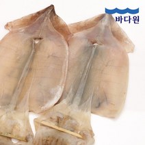 바다원(주) 바다원 국내산 부드러운 건오징어 5미, 단일옵션