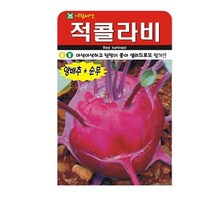 SN월드 뿌리채소 씨앗 무 당근 양파 알타리무 비트 콜라비 과일무, 레드콜라비