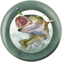 볼러스토어 피딩타임 큰 입 배스 볼링공 하드볼, 16lbs