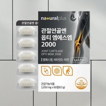관절연골엔 식이유황 식이유황영양제 관절영양제 MSM 조인트 엠에스엠 비타민디 뼈영양제