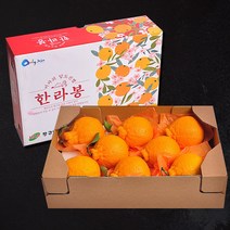 [푸르젠] 명절특가 당도좋은 제주 한라봉 선물세트, 1개, 3kg(6~9과)