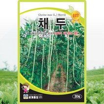 채두 씨앗 콩 씨 종자 30립, 단품