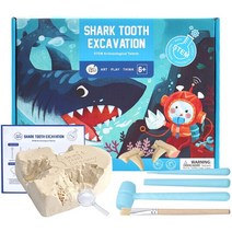 [호안미로] 상어 이빨 화석 발굴 키트 JAR MELO SHARK TOOTH EXCAVATION STEM, 혼합색상