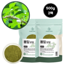 고창 뽕잎 가루 국산 뽕나무잎 고운 분말, 2팩, 500g