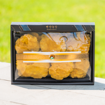 국산 농장직송 장수상황버섯 350g 특상품