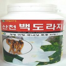 AR 백도라지 씨앗 통 500g 대용량 흰도라지 씨앗, 1개