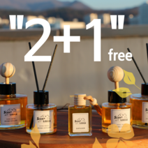 [2+1] 센트롯지 천연아로마 디퓨저 오렌지부케 50ml, 실내용(긴스틱)