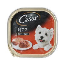 꼬랑댕이 코스트코 시저 강아지 쇠고기 건강 간식 습식사료 1캔 100g