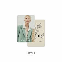 seventeen세븐틴 달링 굿즈 동일 스몰 카드, hoshi