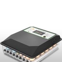 병아리부화기 자동병아리부화기 달걀부화기 계란부화기, 36기 전자동 듀얼 전원