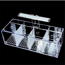 hongyi 1 piece acrylic bettas cylinder isolated 물고기 탱크 기울어진 물 펌프 사육 실린더 baby betta 탱크 guppy 사육, 베타 어항, 연한 초록색