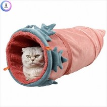 기타 jbs1 고양이 롱 숨숨집, 오이