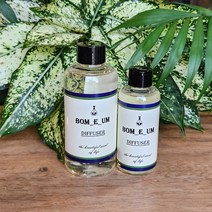 브랜드타입 메그놀리아레이크 탈취방향제 디퓨저 리필 100ml