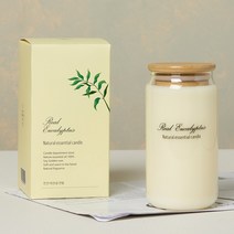 에인디 공기정화 비염 완화에 도움을 주는 100% 천연 아로마 리얼 유칼립투스 캔들, 리얼 유칼립투스 570g