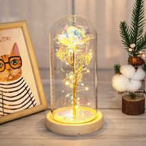 앤씨마켓 홀로그램 유리돔 LED 무드등, 1