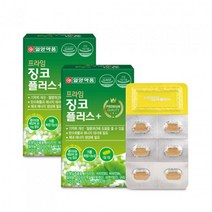 징코플러스 은행잎추출물 징코빌로바 은행잎 GINKGO 플라보놀배당체 징코 은행추출물 30정2통