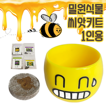 가든아이 밀원식물 씨앗 키트 KIT (밀원식물 씨앗+압축배양토+헤어맨화분) 씨앗키트 식물키우기, 과꽃