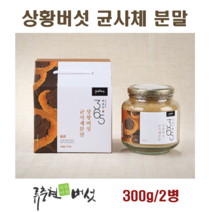 상황버섯 균사체 분말 가루 상황버섯차 목질진흙버섯 베타글루칸 뽕나무 국산 상황버섯물 효능 먹는방법 면역력, 300g, 2병