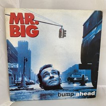 MR BIG LP / 엘피 / 음반 / 레코드 / 레트로 / AA3917