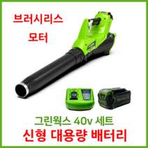 그린웍스 송풍기 40v 충전 블로워 충전식 브로워 낙엽송풍기 - -, 5ah세트(본체+충전기+5ah배터리)
