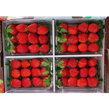 딸기2kg 특크기 설향 장희 딸기, 딸기
