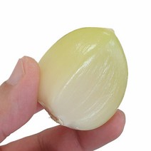 해남 코끼리마늘 (특) 1kg 황토밭 토종 왕마늘, 단품