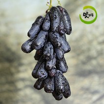 맛가득 프리미엄 가지포도 블랙사파이어 3kg, 1개