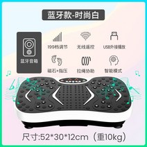 음파진동기 전신 뱃살 쉐이크 덜덜이 음파 운동기구 홈트 다이어트 기구, 블루투스/모던화이트/7대기능/199단 인버터/