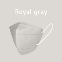 케어랩 하이클린 KF94 새부리형 여름용 마스크 중형/대형 100매 컬러마스크, (중형)KF94-로얄그레이 100매, (중형)KF94-로얄그레이 100매