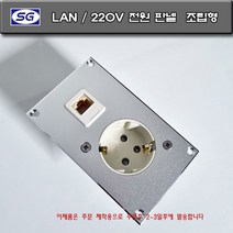 신길전자 벽부판넬 220V전원 LAN 115x70 조립완제품 알루미늄 플레이트 LAN8P, 벽부판넬 220V전원 LAN 조립완제품
