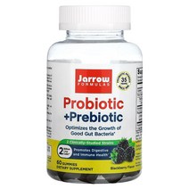 프로바이오틱스 Probiotic Prebiotic Blackberry 2B 60