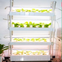 뉴이어 LED 수경재배기, 4단
