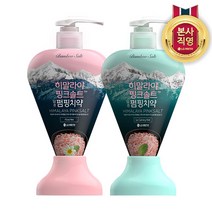히말라야 핑크솔트 펌핑형치약285g 플로럴/아이스 x 2개, 플로럴, 285g