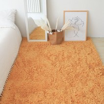 DFMEI ins 카펫 침대 옆 담요 보풀